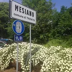Nel Trento