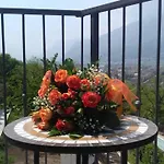 Alojamento de Acomodação e Pequeno-almoço Nel 3*