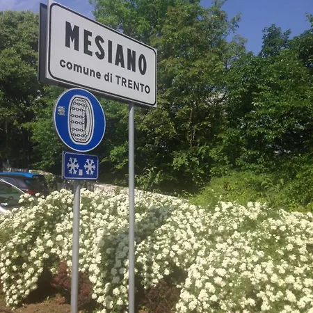 Nel Trento