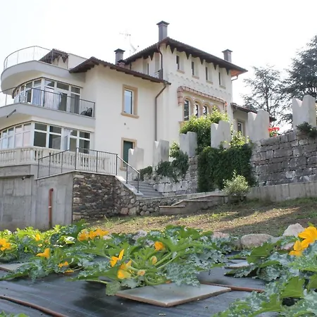 Nel Trento